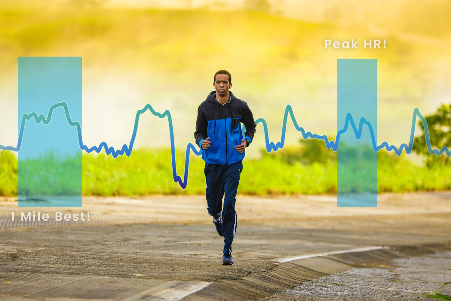 Performance analytics dashboard