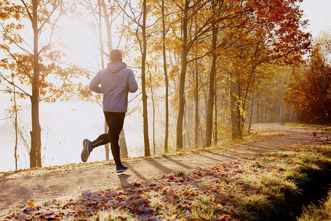 A runner on a sunlit autumn trail during a long run