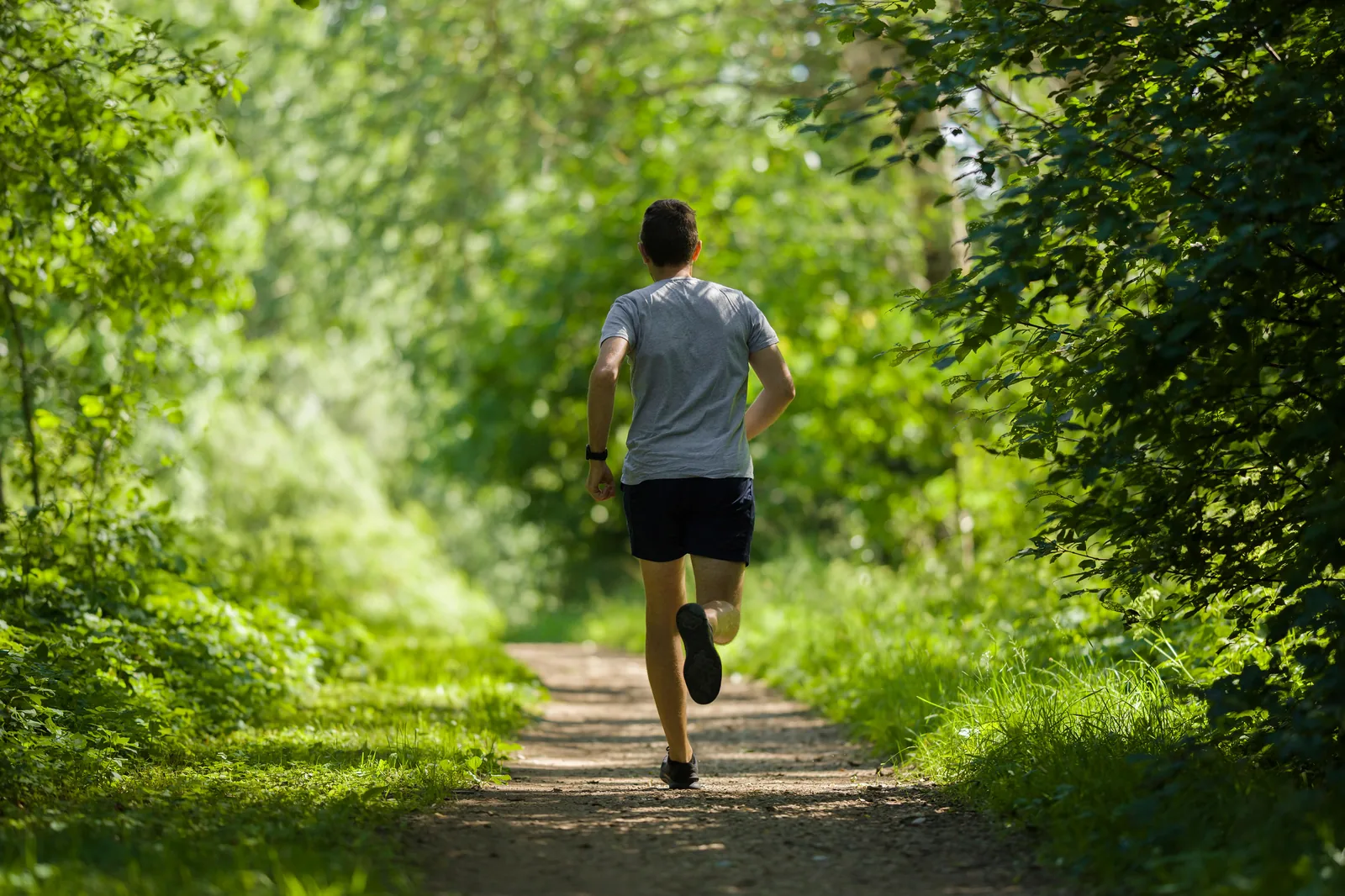 A runner on an easy recovery jog down a quiet green path